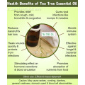 Olio di tea tree in Australia per il trattamento dell&#39;acne